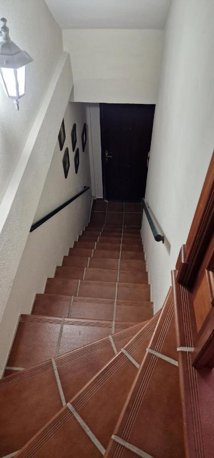 La Terracita Del Bosque Apartment Ngoại thất bức ảnh